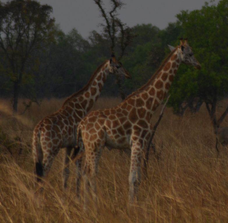 ba47516a-e9fc-4588-ab6a-1a7b535714cf