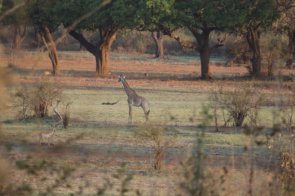 81f0ad53-c790-4e66-b64e-22b6a5d44fb2