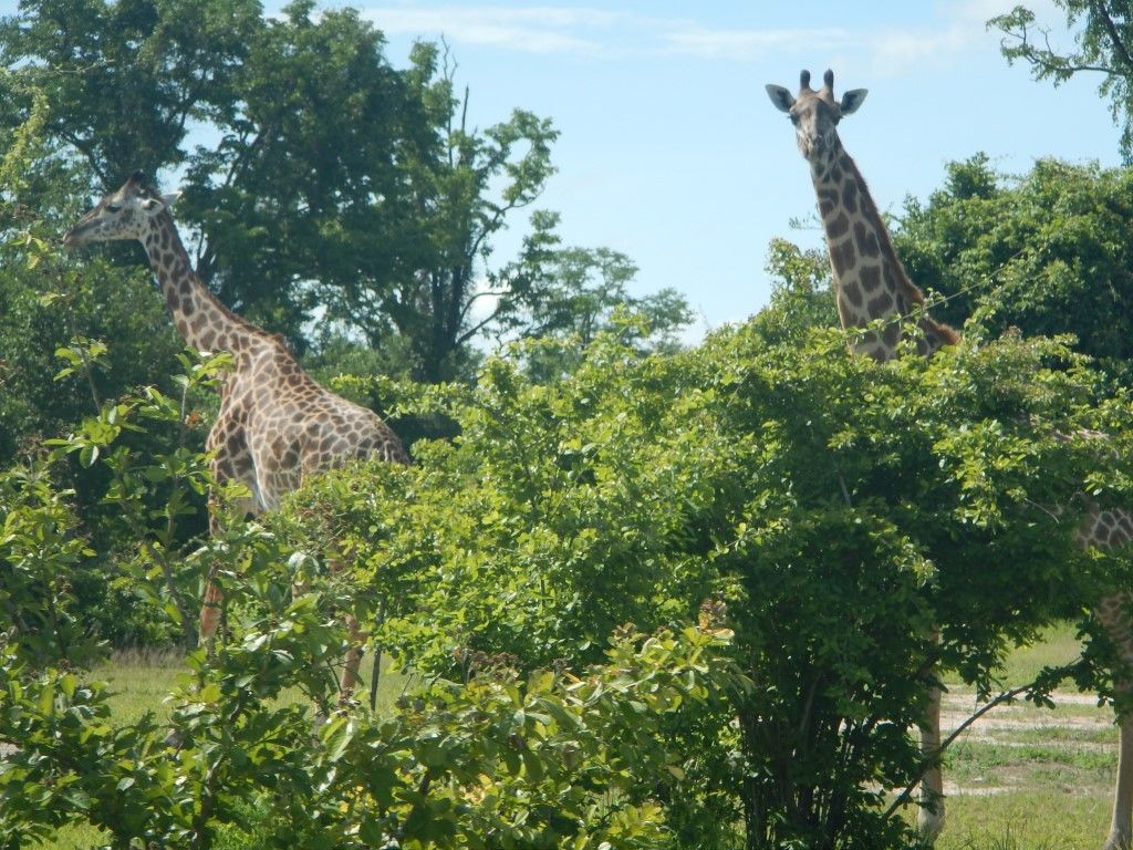 06883590-aa7e-44da-baa5-3a6f4b8a186a