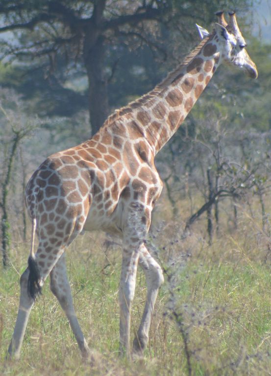 ba47516a-e9fc-4588-ab6a-1a7b535714cf