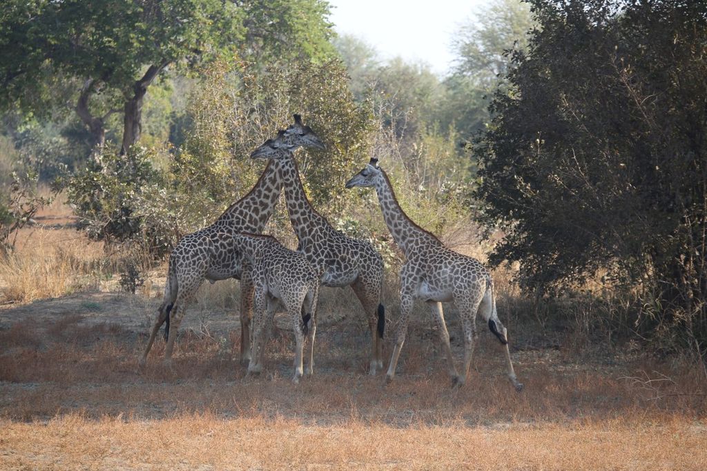 97ea1d32-00b8-4d65-900a-9f571ab830fd