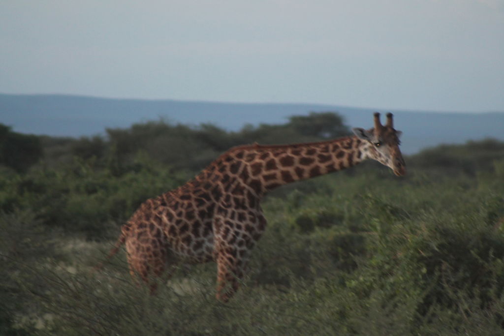 9f8e3609-dd2f-4eea-b6fc-c327d49b1a7a