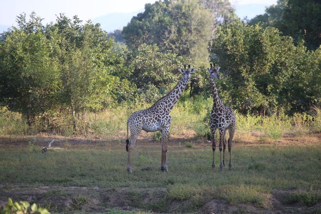 e482782e-81be-4ce1-9266-ca6a48421c72