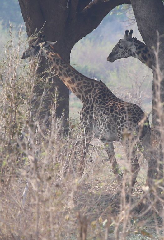 ec063b59-11e4-48cf-b853-9d8d88c46839