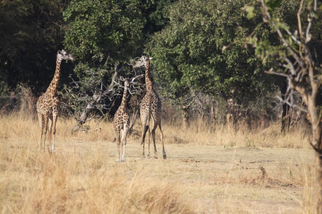 85f330c9-4986-46fe-af4d-243c444cabc7