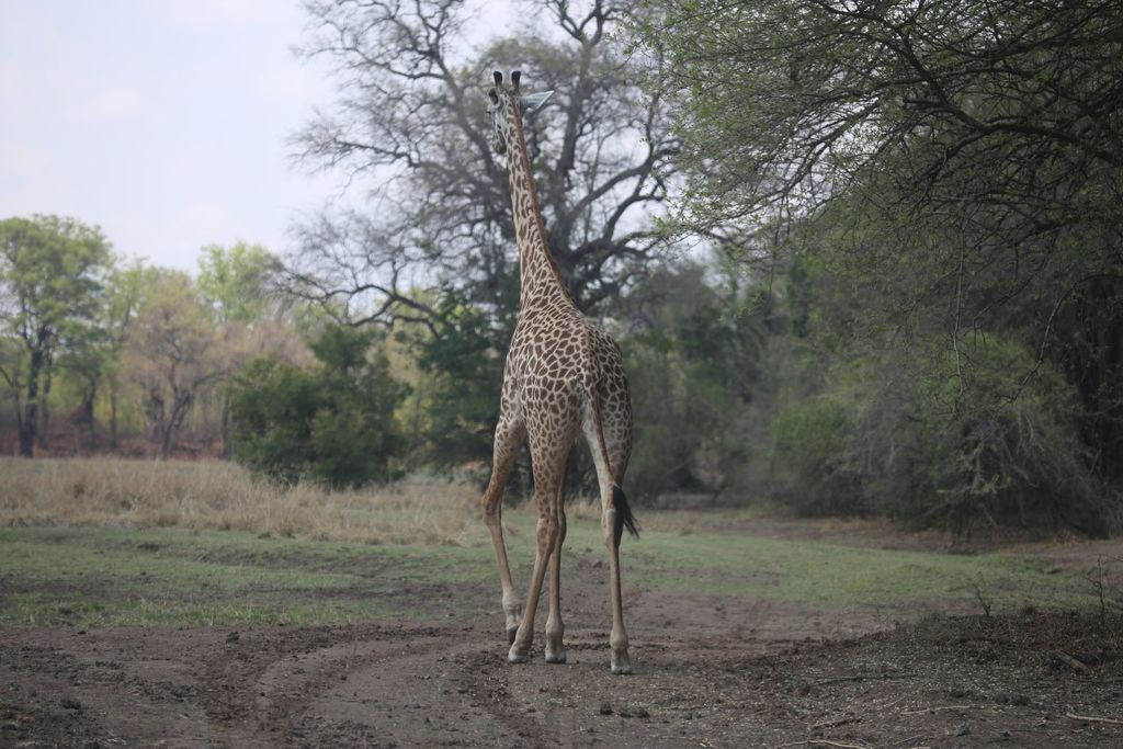 dcc3dd45-8fda-4269-82f4-0eff3bed2b0d