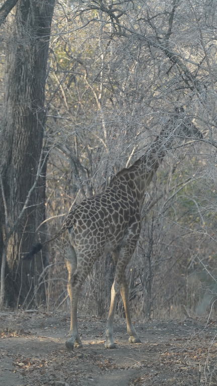 06883590-aa7e-44da-baa5-3a6f4b8a186a