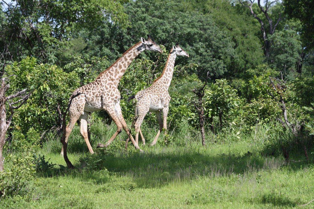 82f2fd1d-846b-448f-9e55-9452d254146b