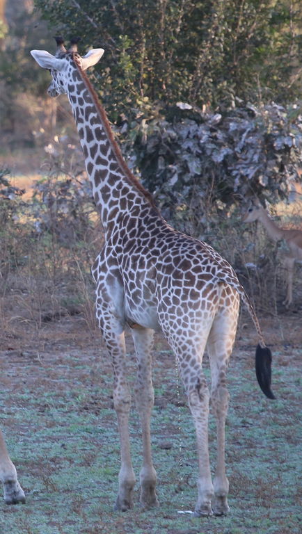 9b31fcf3-c9e8-4367-bec5-f1ddc650497e