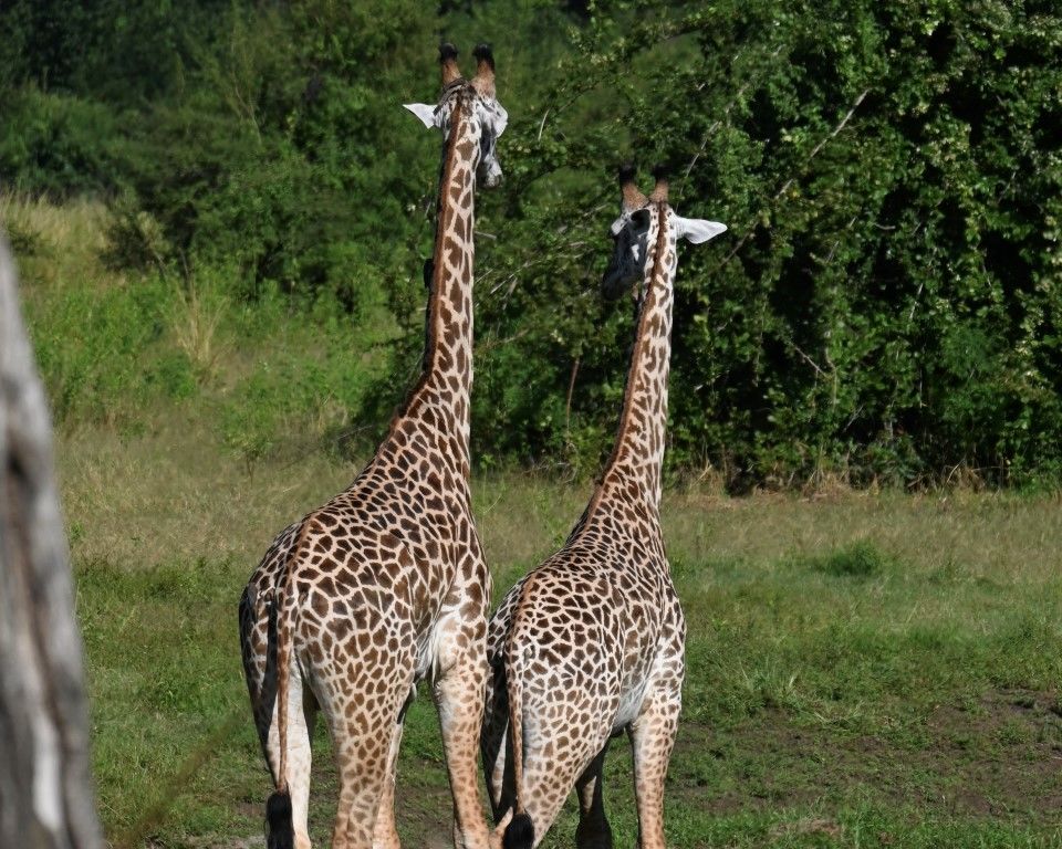 9cb597eb-1835-4a2c-b024-4dee9165f1c4