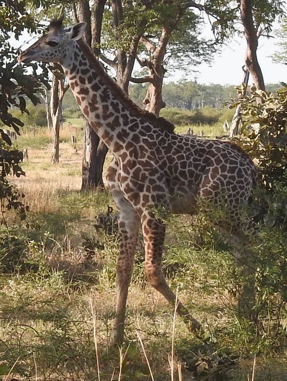 c8a62be9-0a81-4447-9ab5-72712e4c88a4