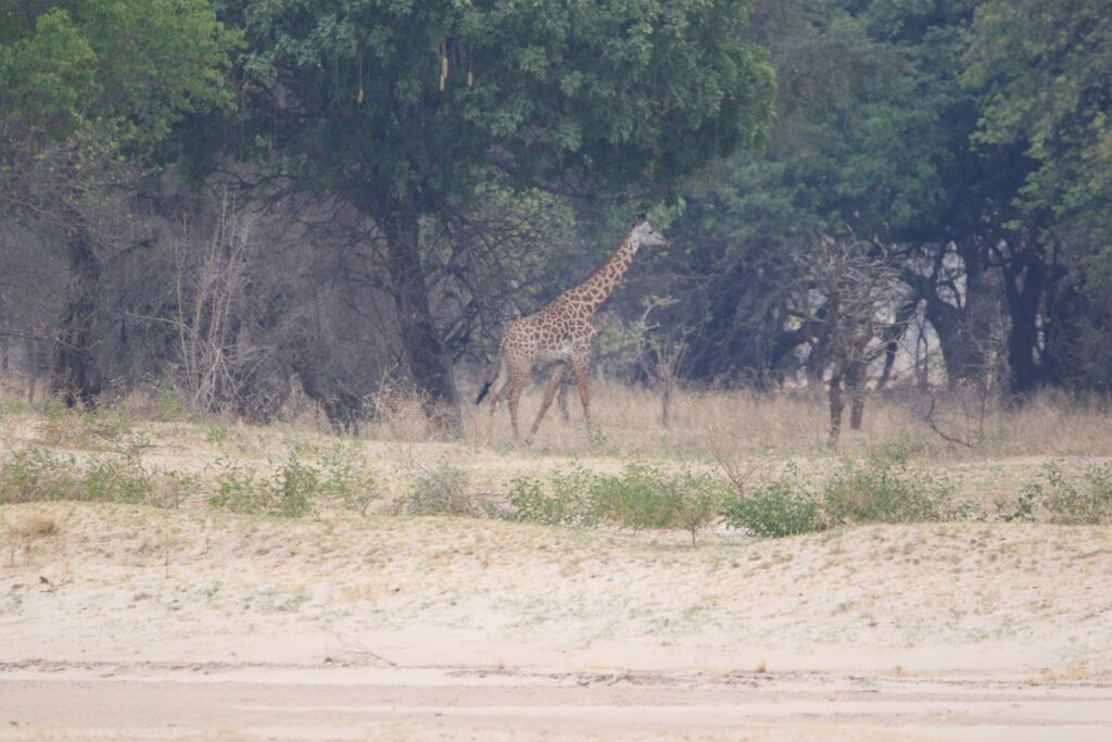 ecd95703-4615-4b63-85d1-02416a8c1b93