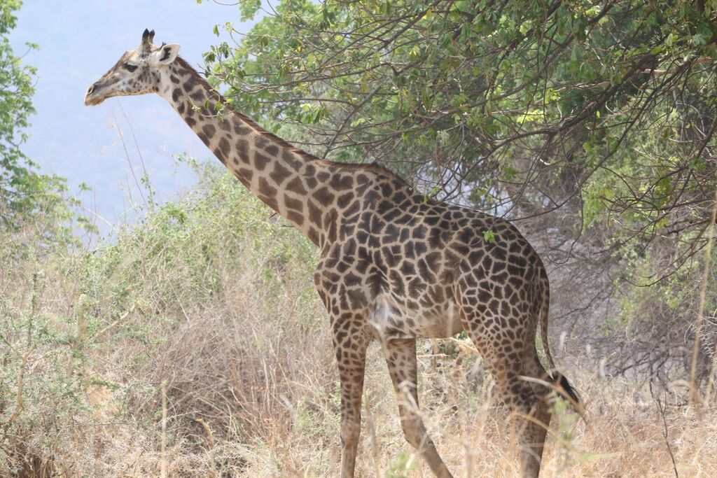 450878f3-8147-4407-a0d4-02ed4624bbde