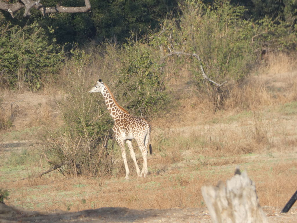 4cd6016f-2764-45b2-a029-528708eeba5f