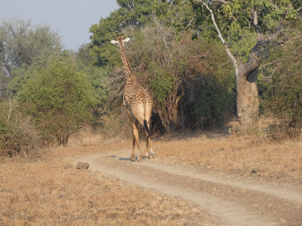 4ee1756c-aa64-490a-b479-da2557458f27