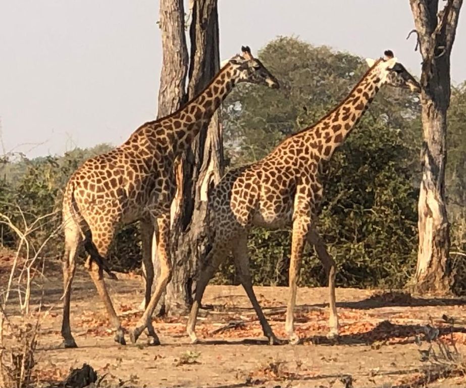 ec22d032-c39a-46e8-9213-02e56f8a0205