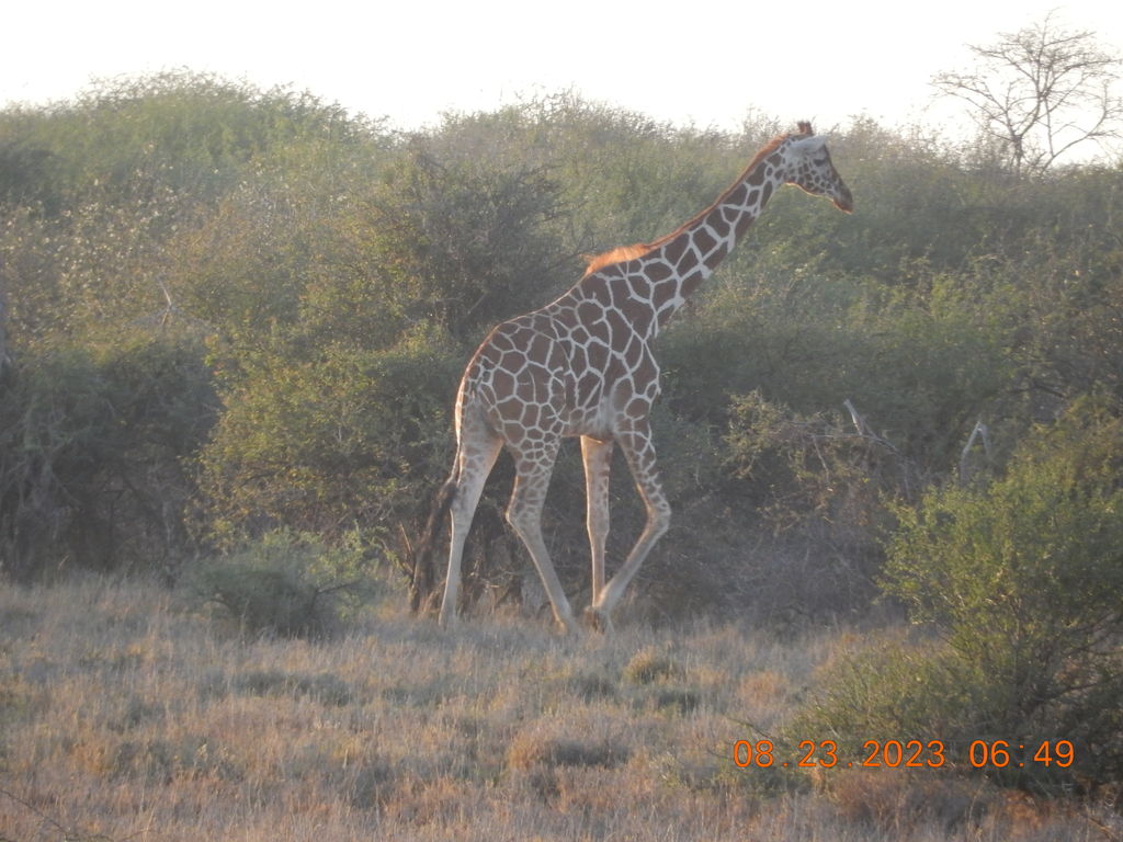 81b7b339-3570-4701-bf12-f850e57a0030