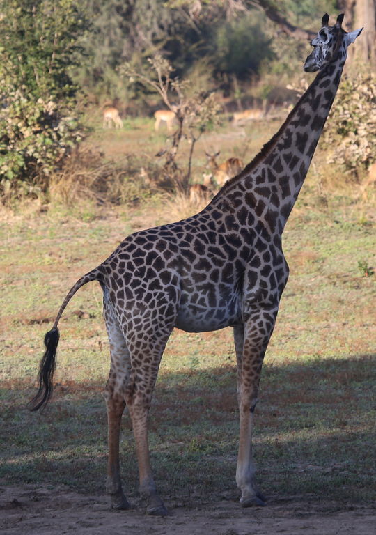 7a676962-cf12-4fd0-bb06-eee16c169ccf