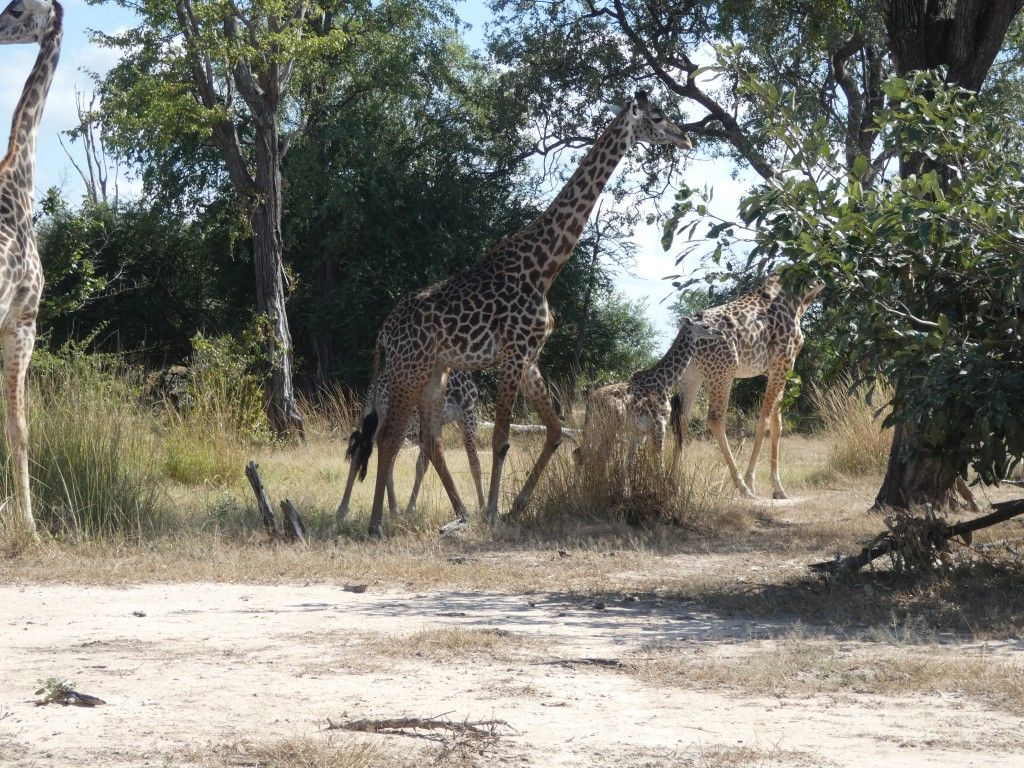 e79876a2-3ca7-4b5c-aae0-83658b714a96