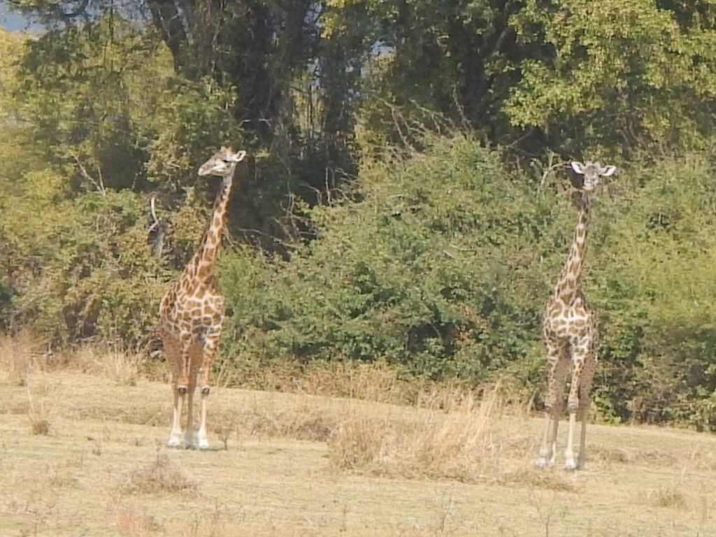 450878f3-8147-4407-a0d4-02ed4624bbde