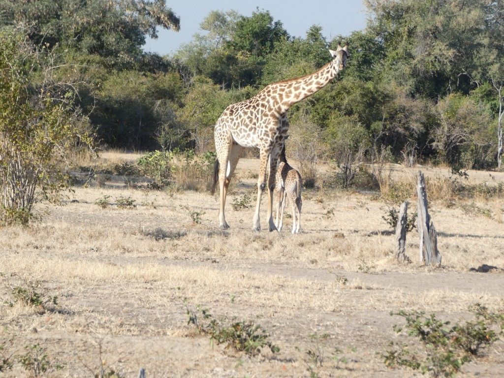 e79876a2-3ca7-4b5c-aae0-83658b714a96