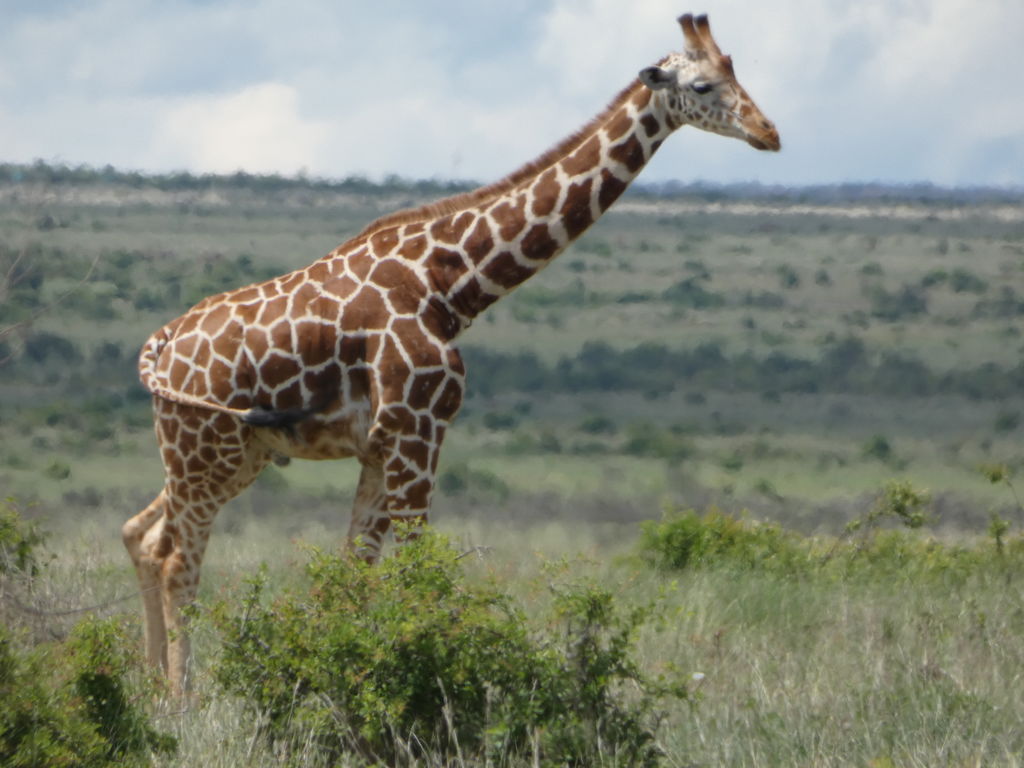 ac6871de-5100-4cbe-9276-eea8848183b4