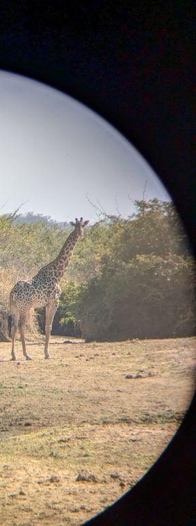 99bd1877-3156-4010-922f-94d31233532e