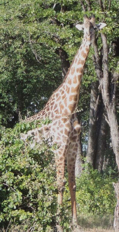 01401431-3267-442d-95b2-a415bddc84f2