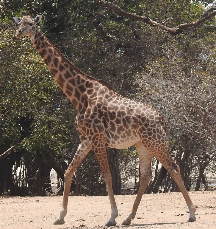 450878f3-8147-4407-a0d4-02ed4624bbde