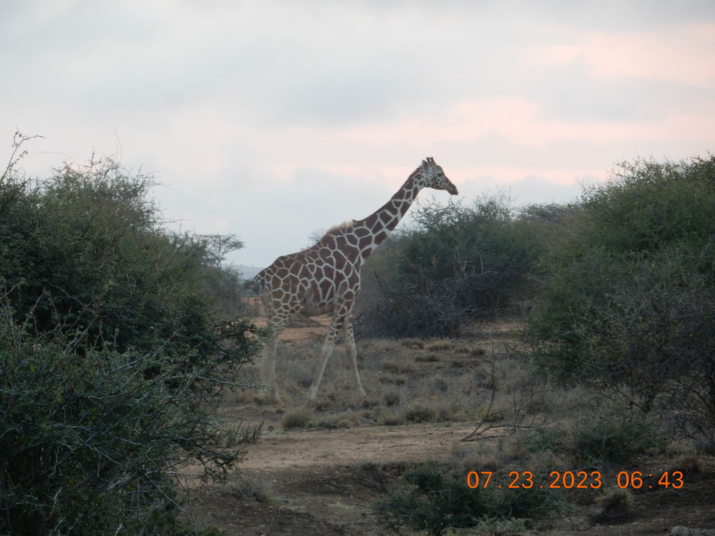 81b7b339-3570-4701-bf12-f850e57a0030