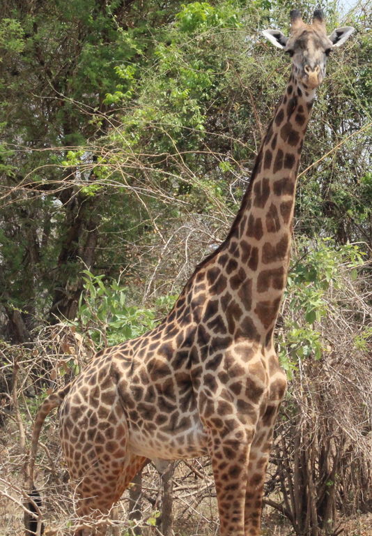 01401431-3267-442d-95b2-a415bddc84f2