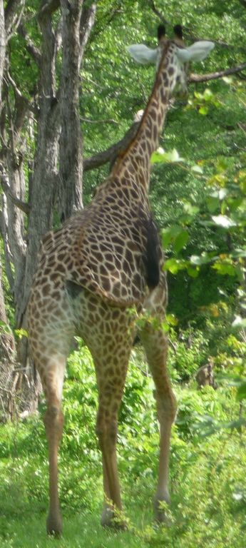 85f330c9-4986-46fe-af4d-243c444cabc7