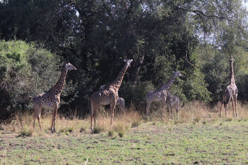 ecda2950-d136-495f-930b-5dbb882186a8