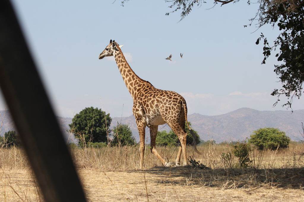 450878f3-8147-4407-a0d4-02ed4624bbde