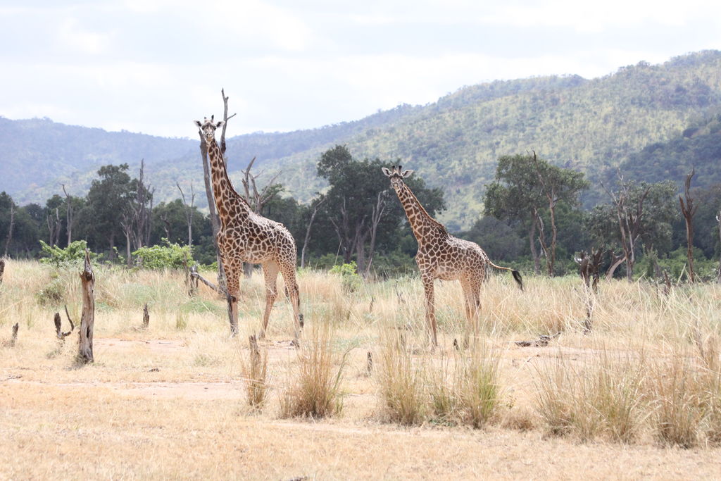 faf0bb12-6323-4ff9-81ae-fe4cb489fa9d