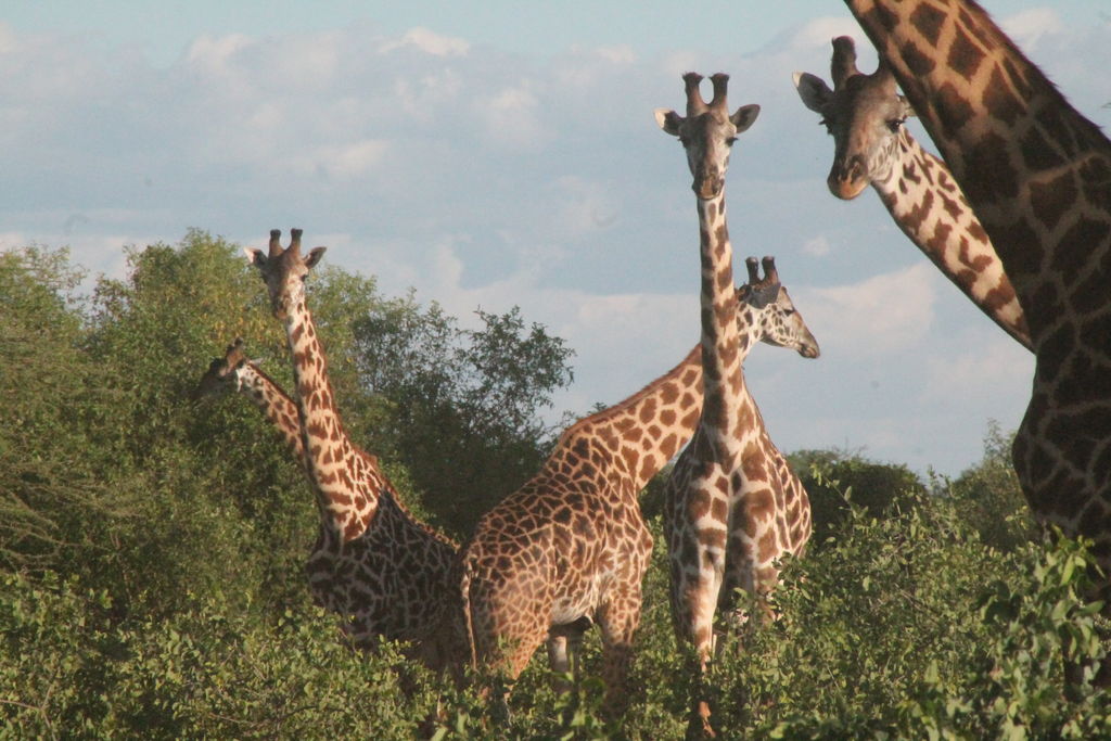 4bc78cec-d44f-47a8-ba2d-092e30c05d2a