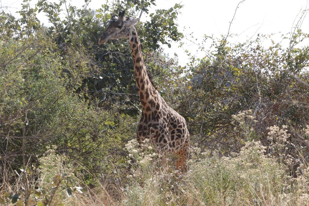 06c995d3-5e4e-4b6e-afb5-0a5bb3409f6e