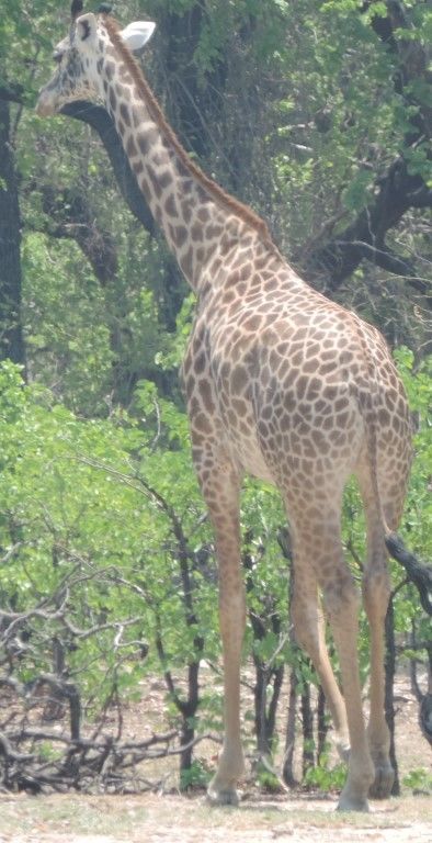 faf0bb12-6323-4ff9-81ae-fe4cb489fa9d