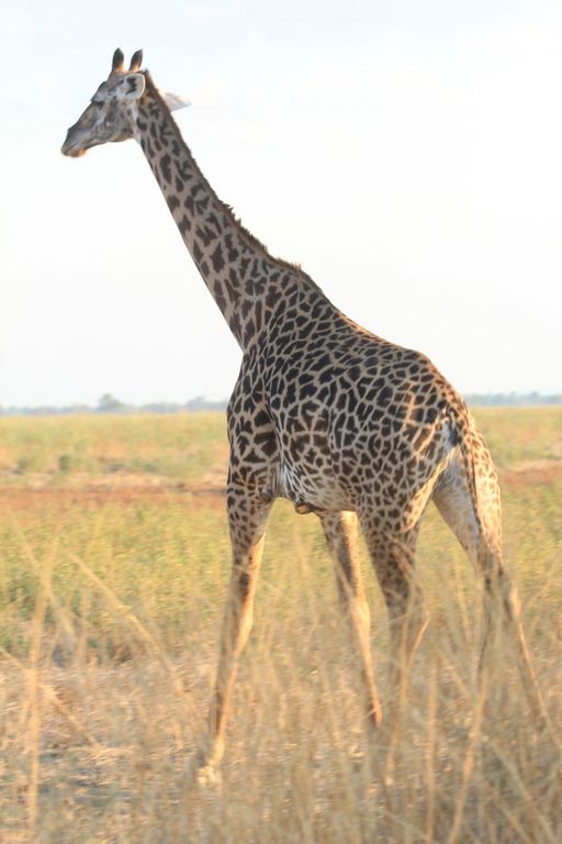 06c995d3-5e4e-4b6e-afb5-0a5bb3409f6e