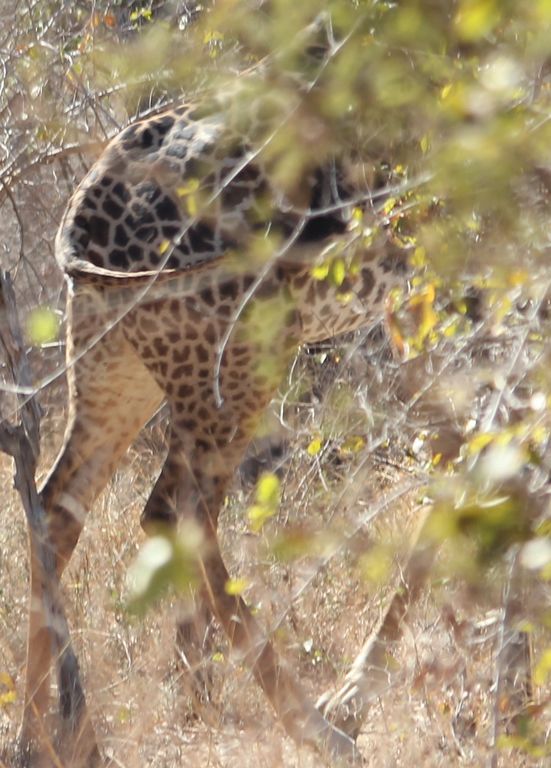 99bd1877-3156-4010-922f-94d31233532e