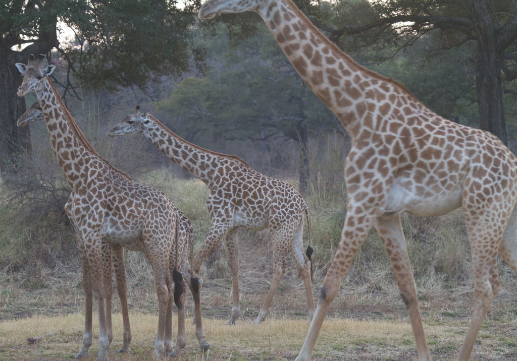 02d6bcf5-fd17-460e-b8f1-3d1913f9ea2f