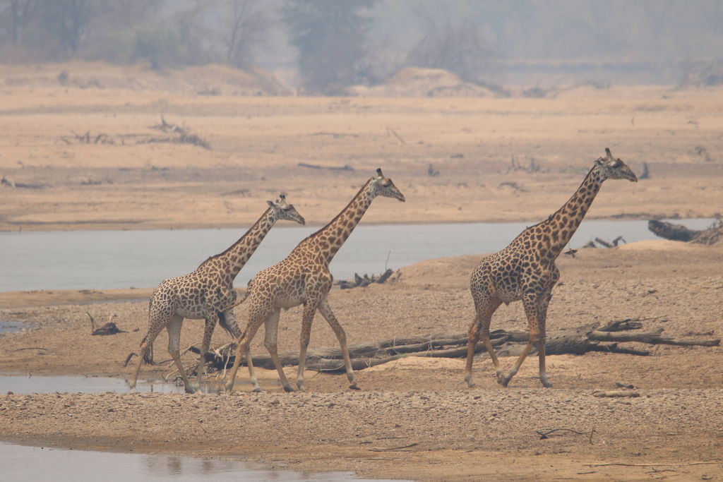 78945f73-e9f6-492c-aa12-91e2c14b21a9