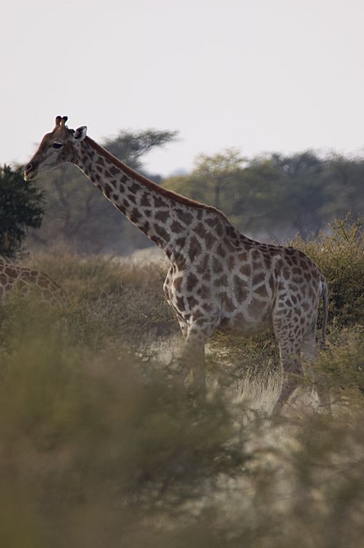 ae22ae82-bc46-44fb-8b37-a1fb19f8c7cf