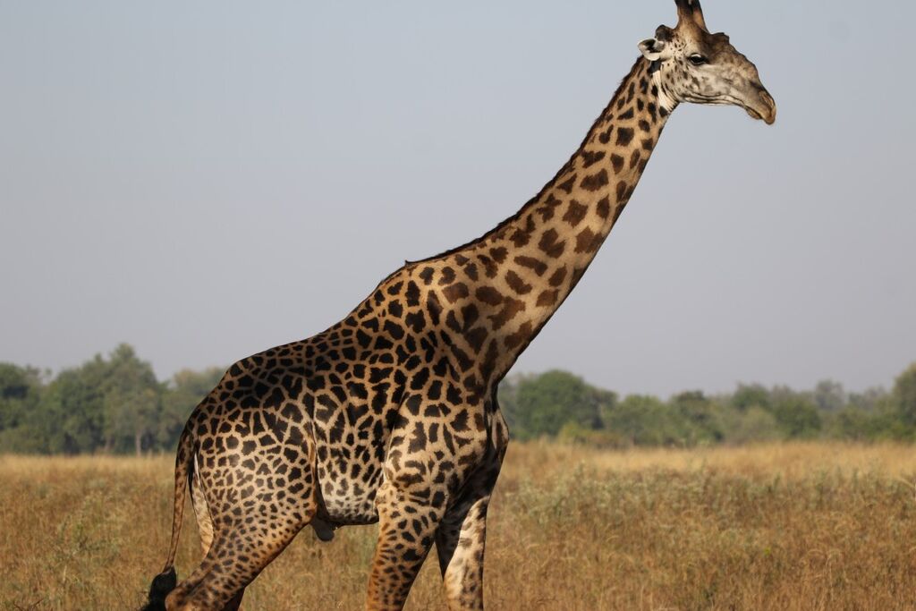 4ee1756c-aa64-490a-b479-da2557458f27