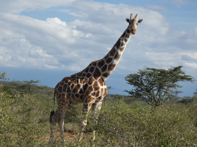 17b7cbb1-0f81-4f75-874b-e0afb874f15d