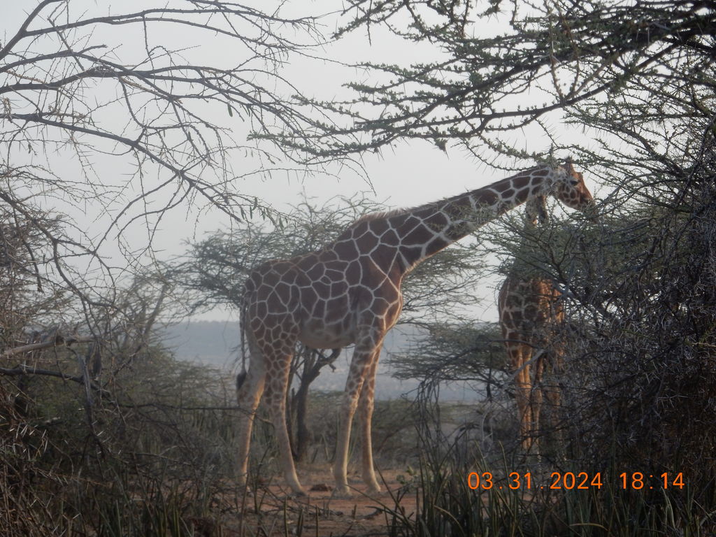 6063d094-36a1-4426-8942-450808a4edba