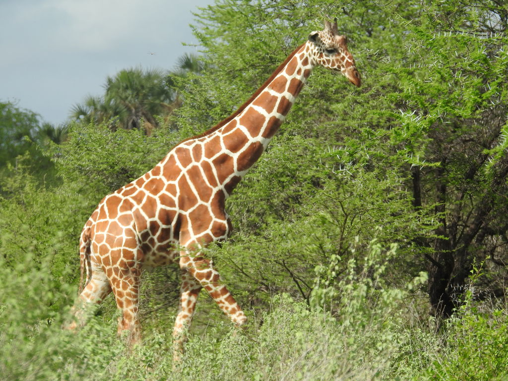 5b57c6b0-185e-4ad3-853c-804bffb2cfc0