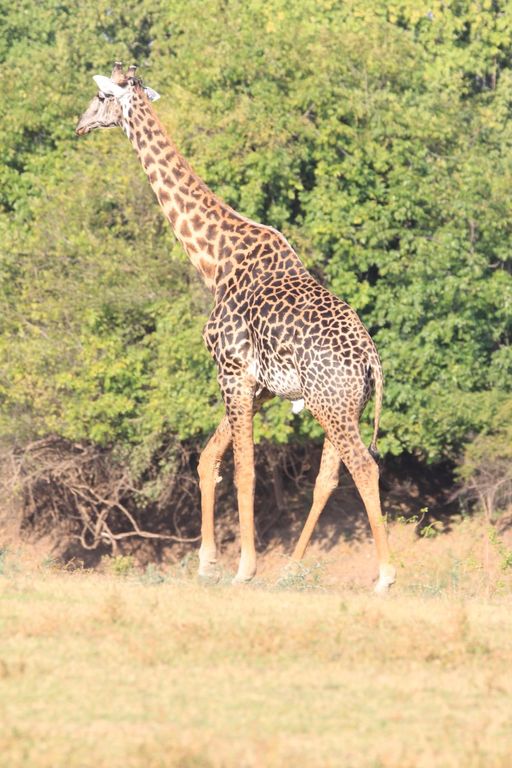 b139f8d2-6e63-40fc-a036-ee10c9266ef4