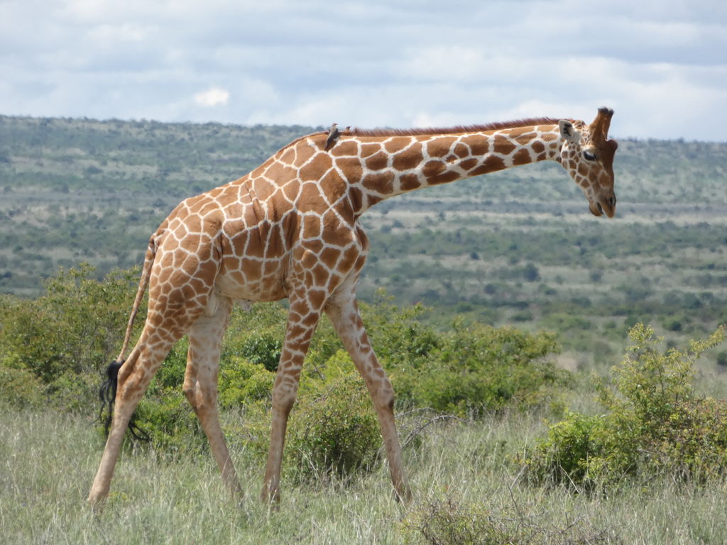 bac04dcf-e5a4-4ea6-9dd7-cb789937997c