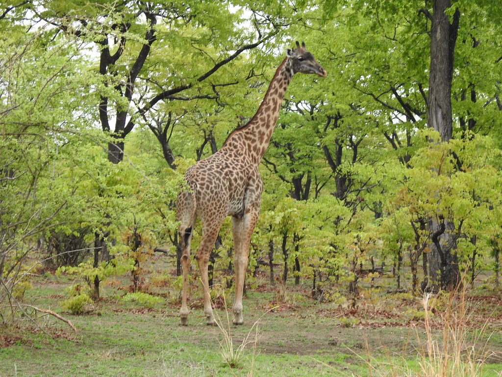 ecda2950-d136-495f-930b-5dbb882186a8